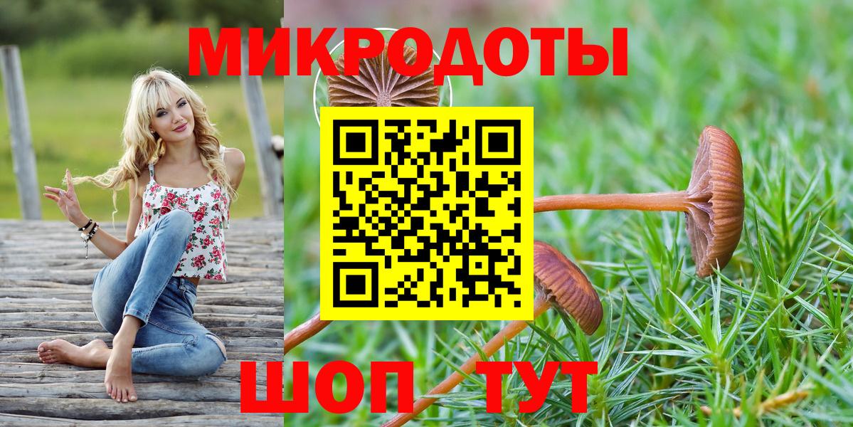 Чебоксары  Галлюциногенные грибы Cubensis  Вход с VPN 